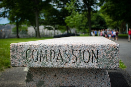 Compassion written